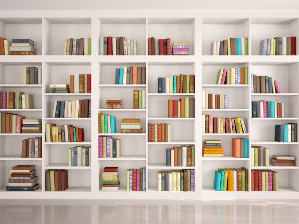 Bookshelf Assembly in Elgin